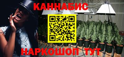 СК Будённовск
