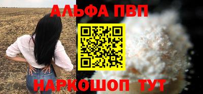 молекула духа Кингисепп