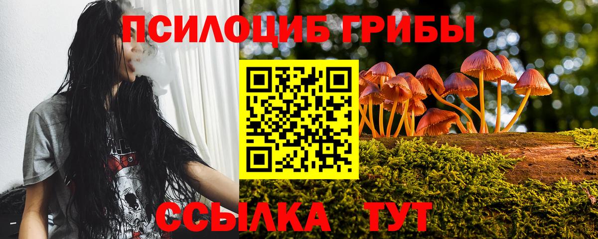 Галлюциногенные грибы мицелий Мончегорск